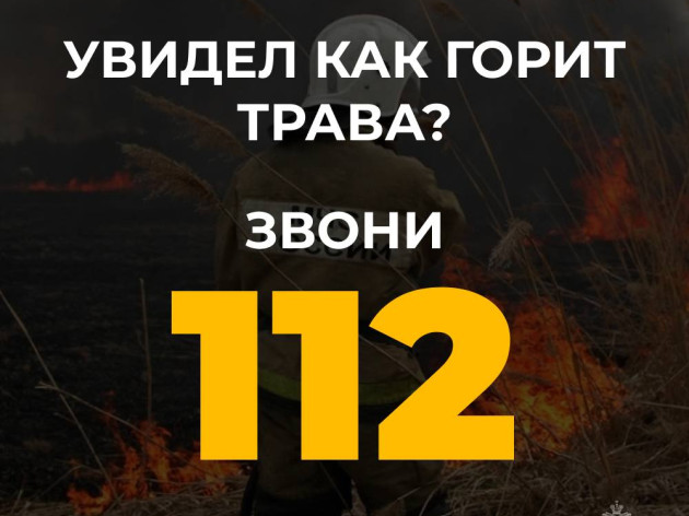 Пал травы